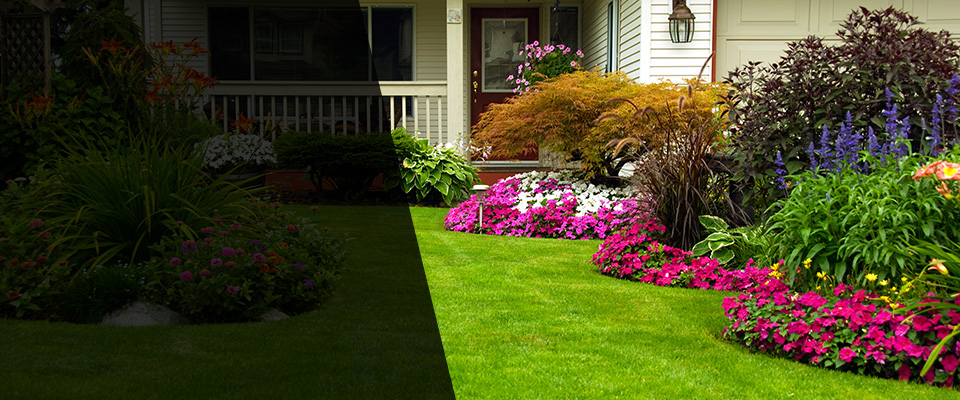 Clay Landscapers