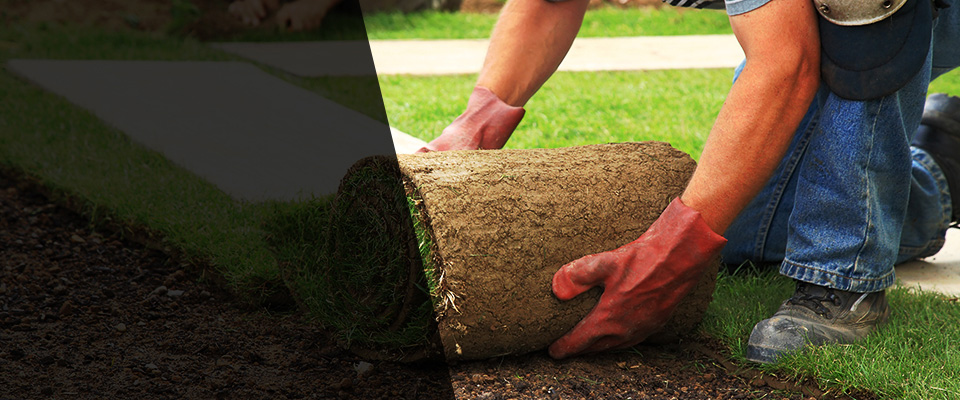 Clay Landscapers
